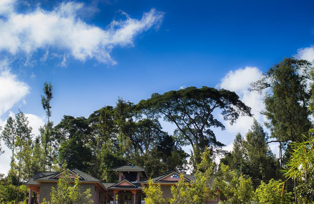 Kuniville Guest House Nyeri Esterno foto